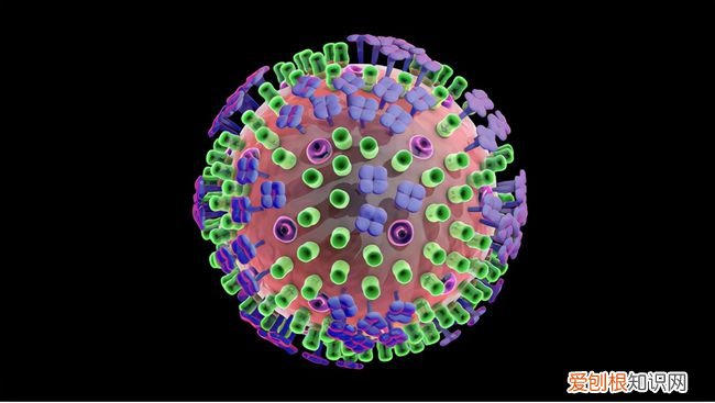 南开专家团队:数据建模发现奥密克戎传染力比德尔塔增37.5%,需重点做好防御