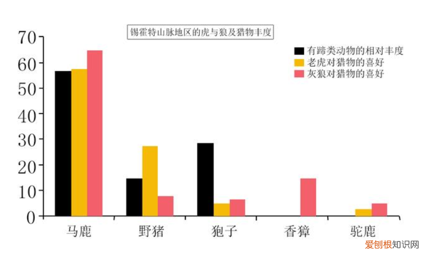 男子开车遇东北虎拦路对视1分钟