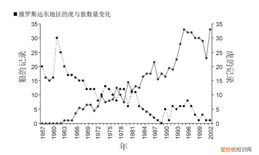男子开车遇东北虎拦路对视1分钟