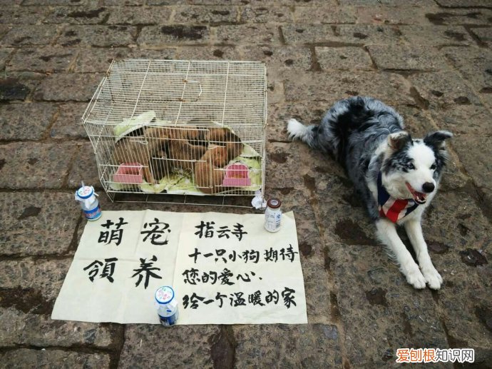 一千元摆地摊卖什么好?