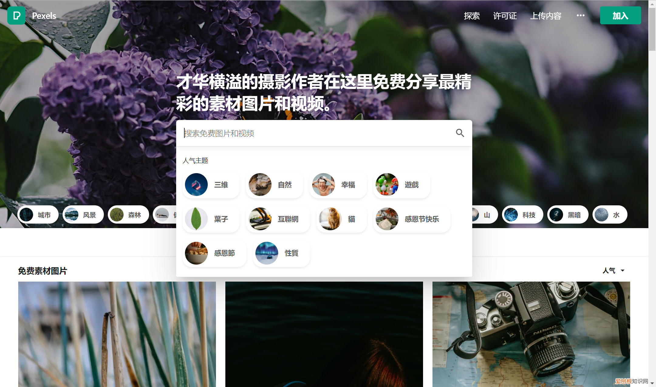 高质量无水印视频素材下载免费网站