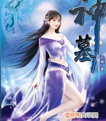 小说排行榜前十名完结作品有哪些?