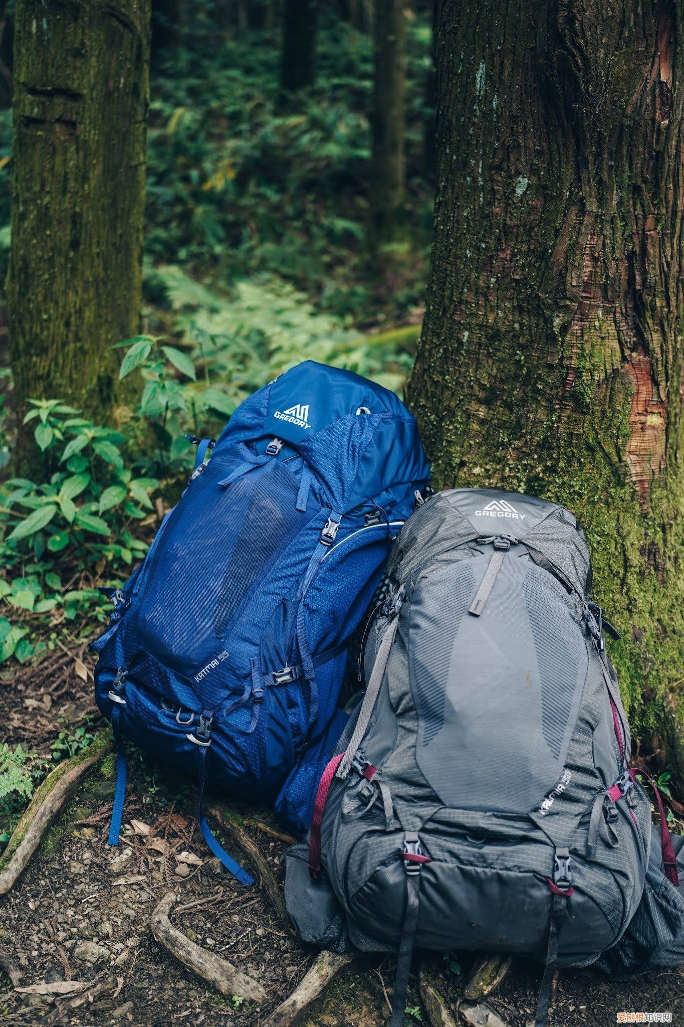 什么牌子的登山包比较好？Gregory格里高利登山包怎么样？实测体验分享