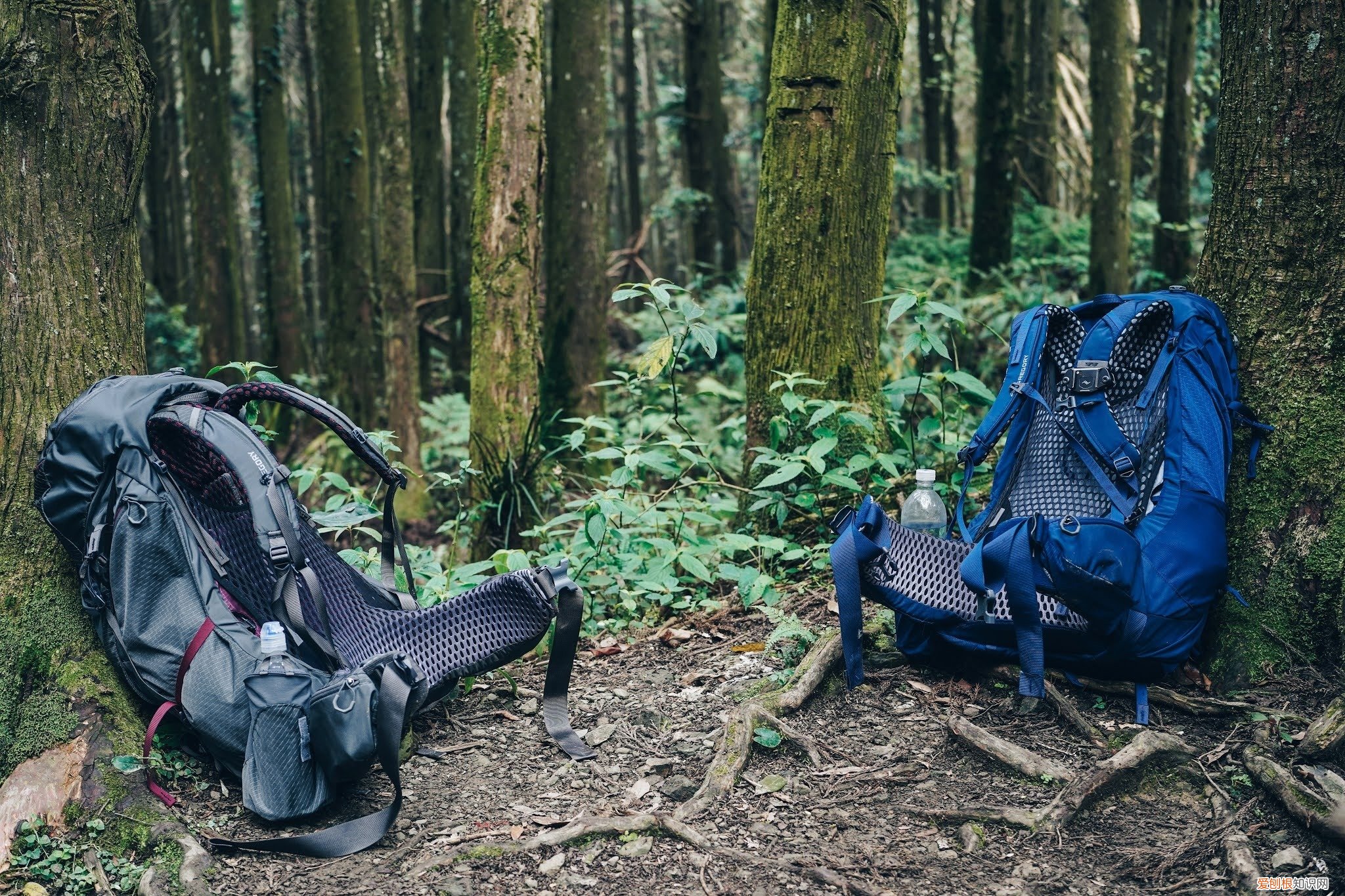 什么牌子的登山包比较好？Gregory格里高利登山包怎么样？实测体验分享