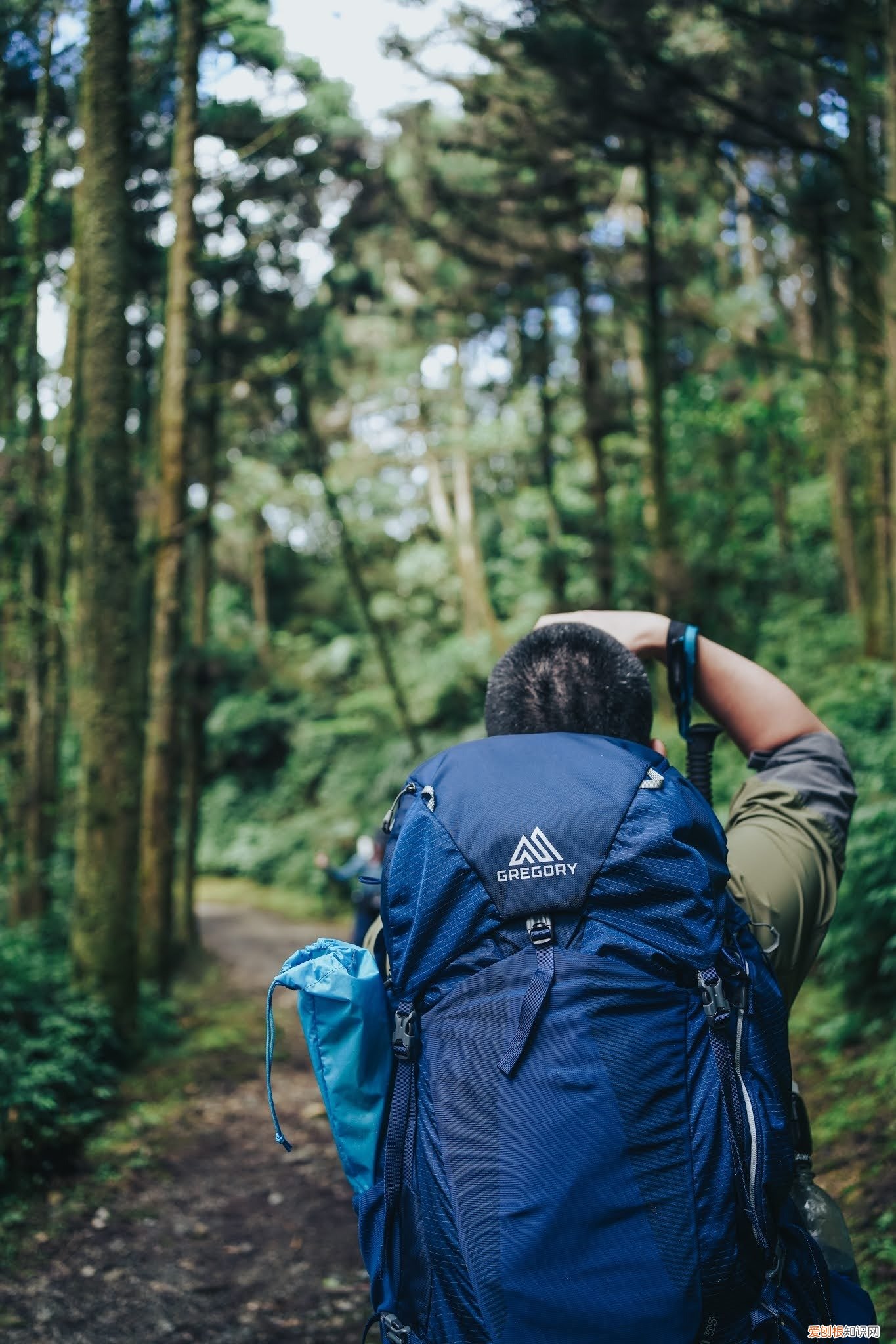什么牌子的登山包比较好？Gregory格里高利登山包怎么样？实测体验分享