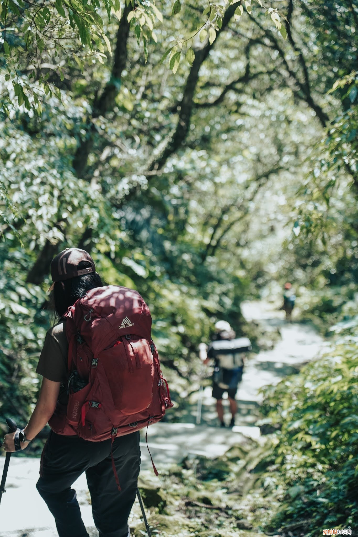 什么牌子的登山包比较好？Gregory格里高利登山包怎么样？实测体验分享
