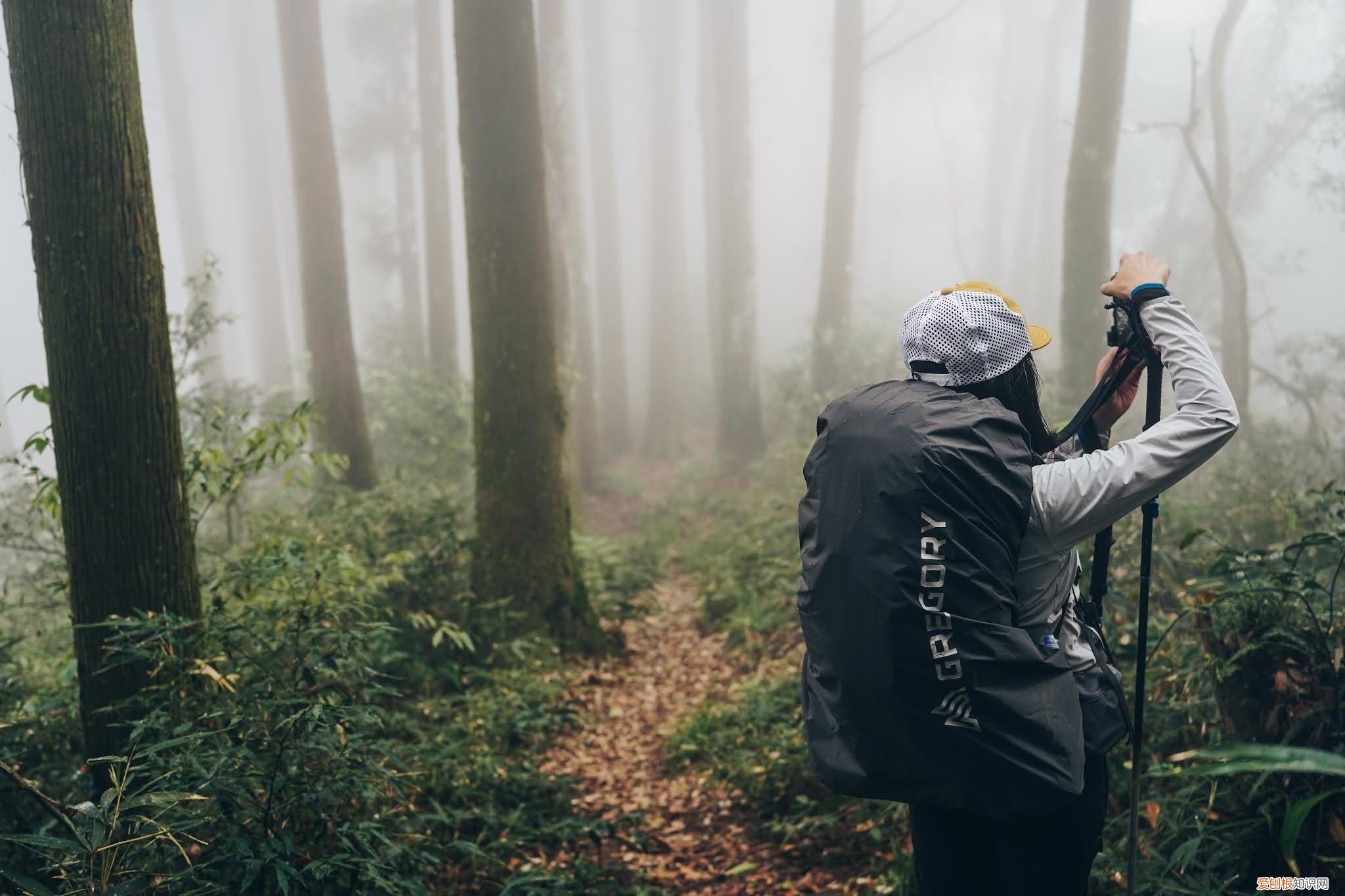 什么牌子的登山包比较好？Gregory格里高利登山包怎么样？实测体验分享