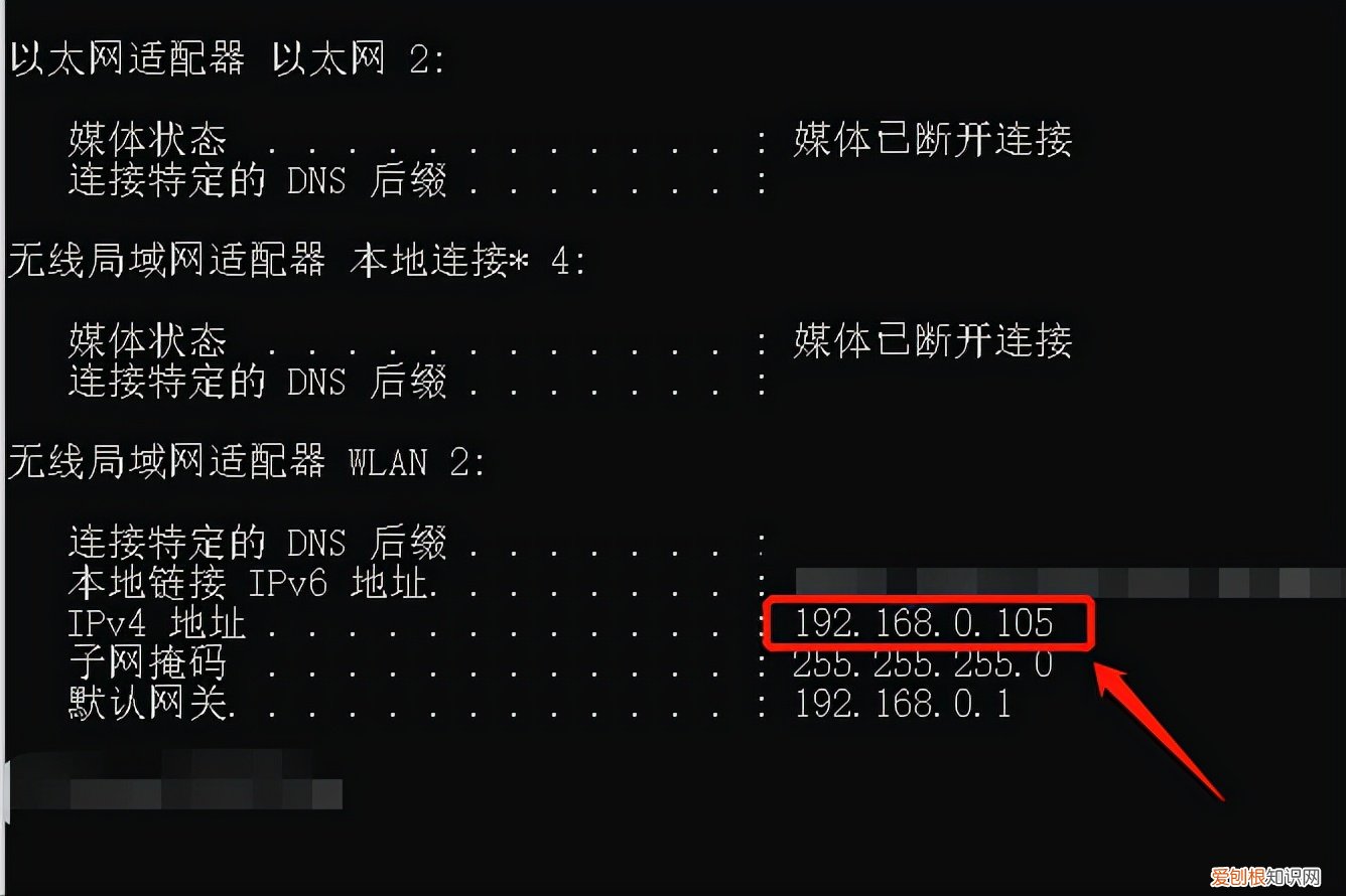 怎么查询IP地址？