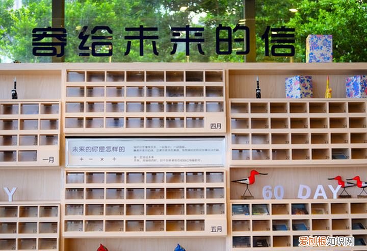 珠海好玩的地方排行榜推荐前十