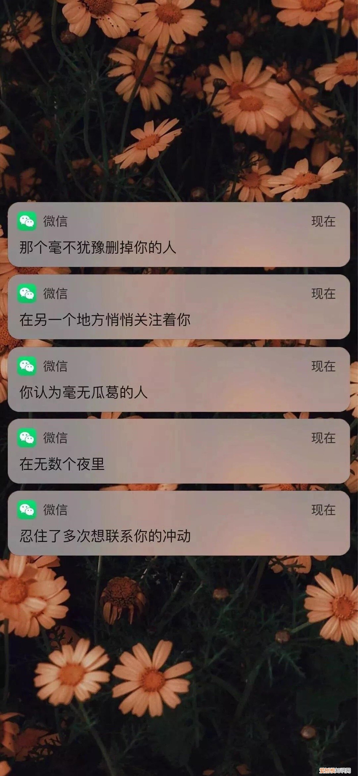 抖音热门壁纸图片文字大全