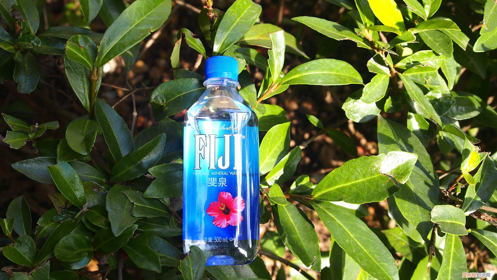 美的直饮机JT100评测怎么样?