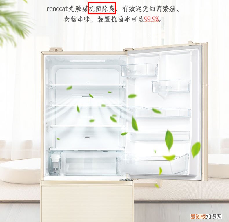 冰箱怎么选购应该注意什么?什么品牌最好排名前十名推荐?