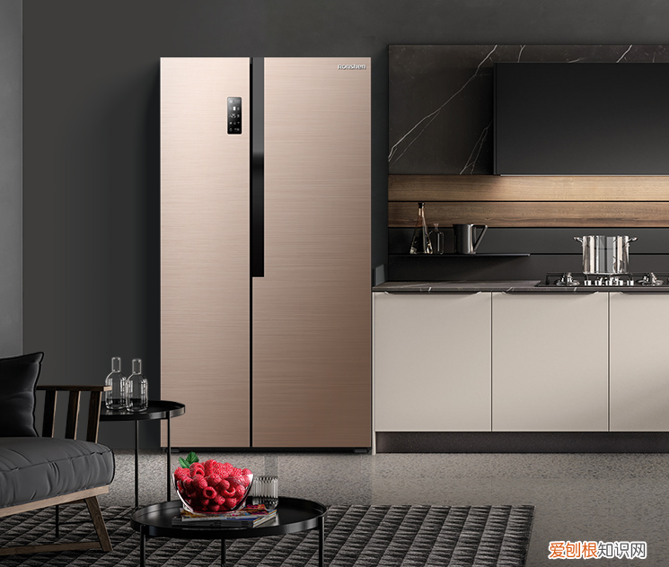 冰箱怎么选购应该注意什么?什么品牌最好排名前十名推荐?