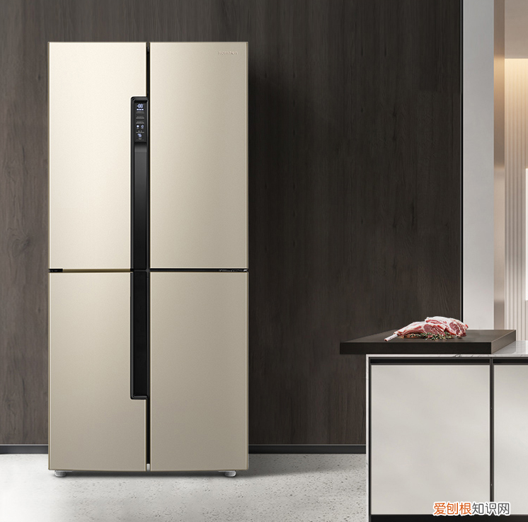 冰箱怎么选购应该注意什么?什么品牌最好排名前十名推荐?