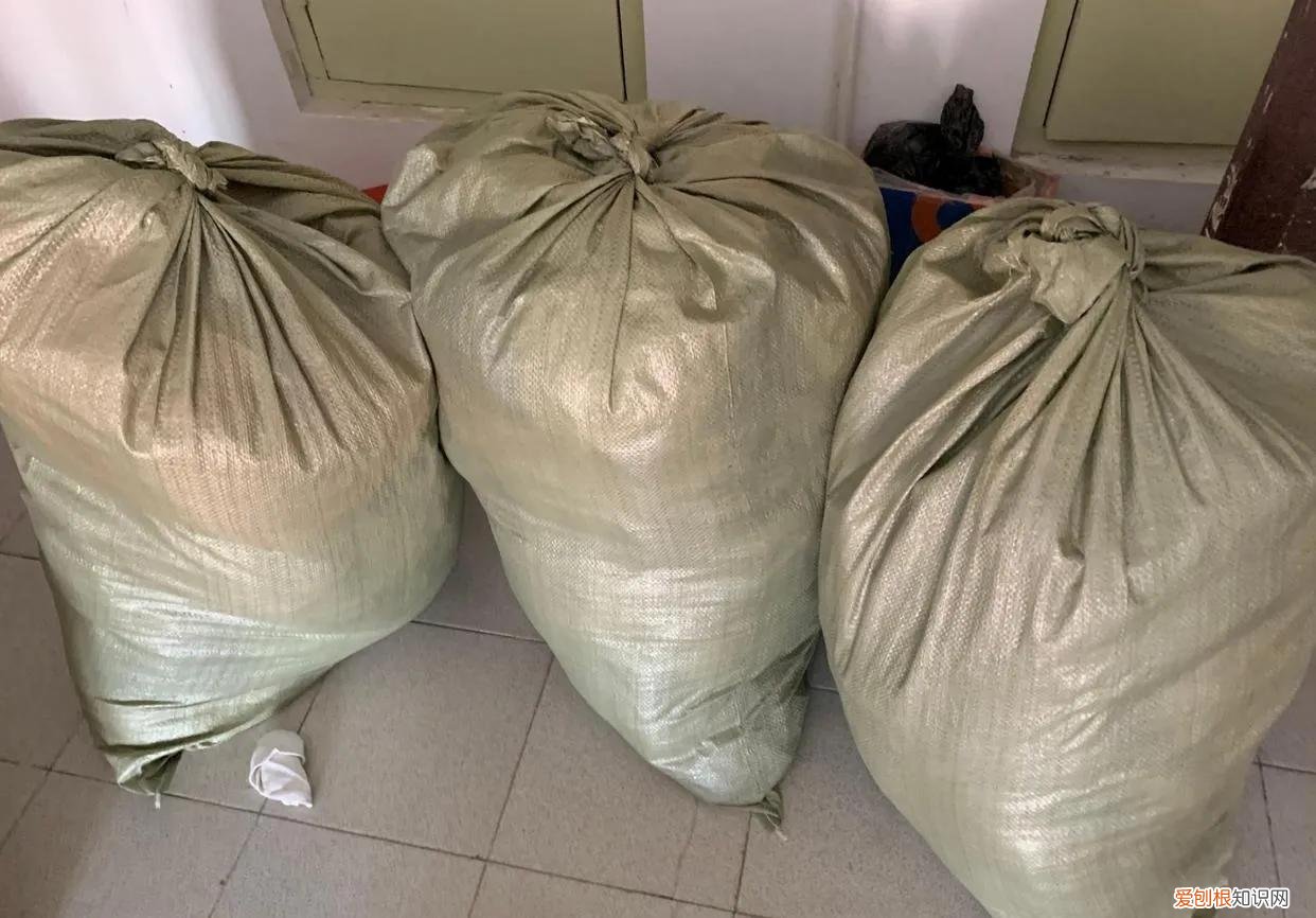 回收旧衣服怎么赚钱？