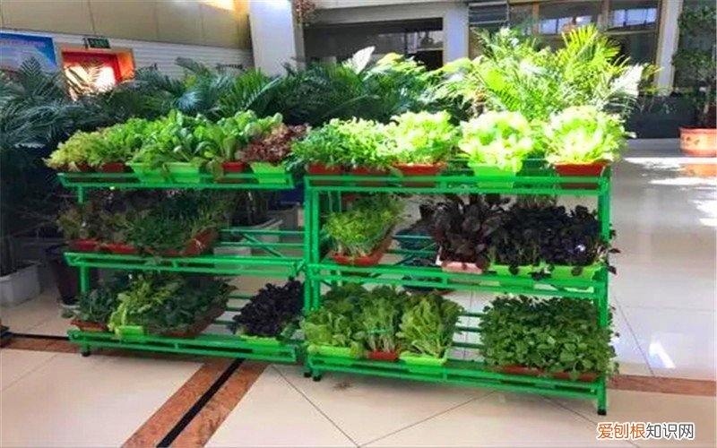 在家加工小项目分享