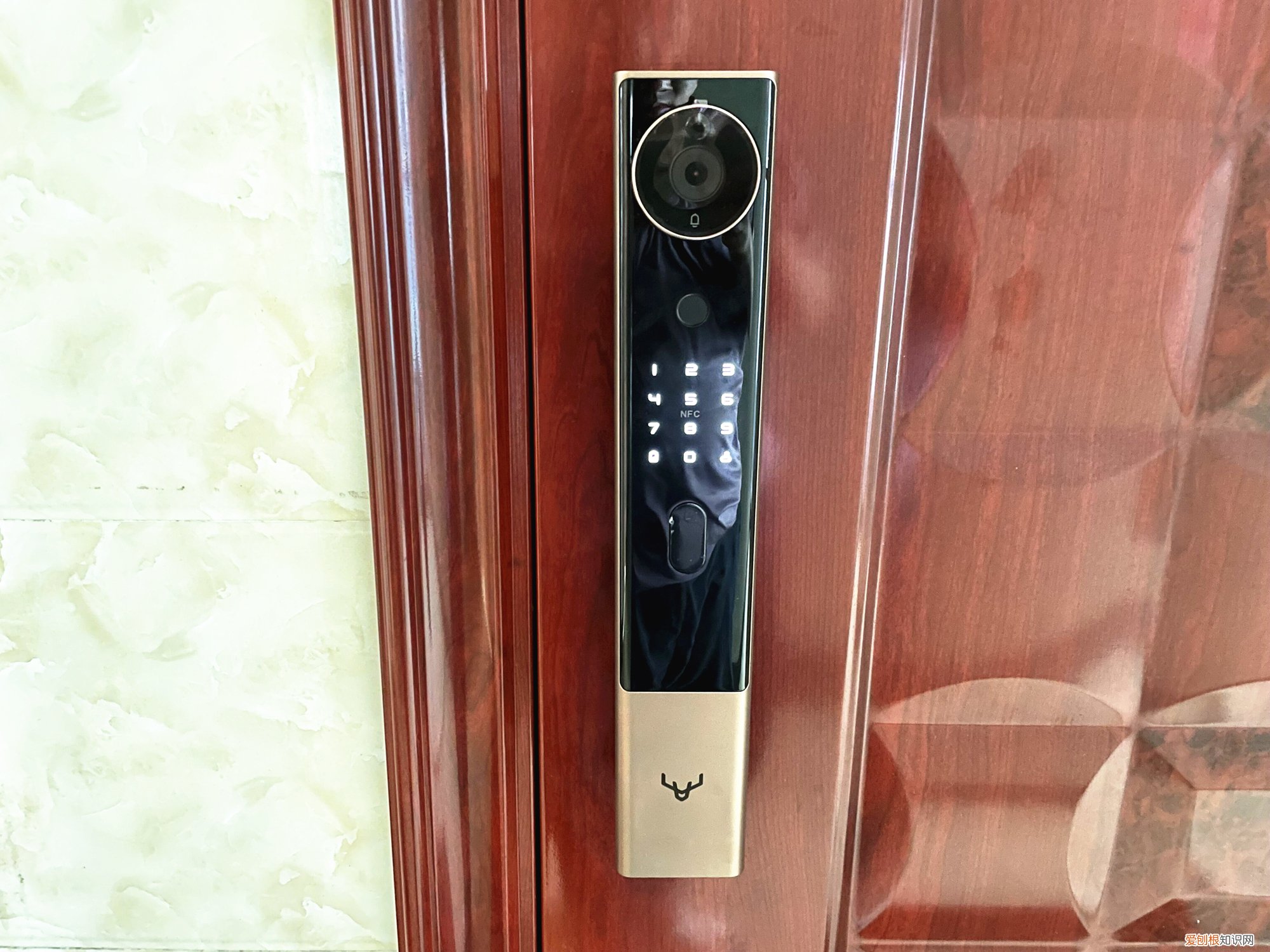 鹿客R1m评测怎么样?安全防护,远程监控好用吗?