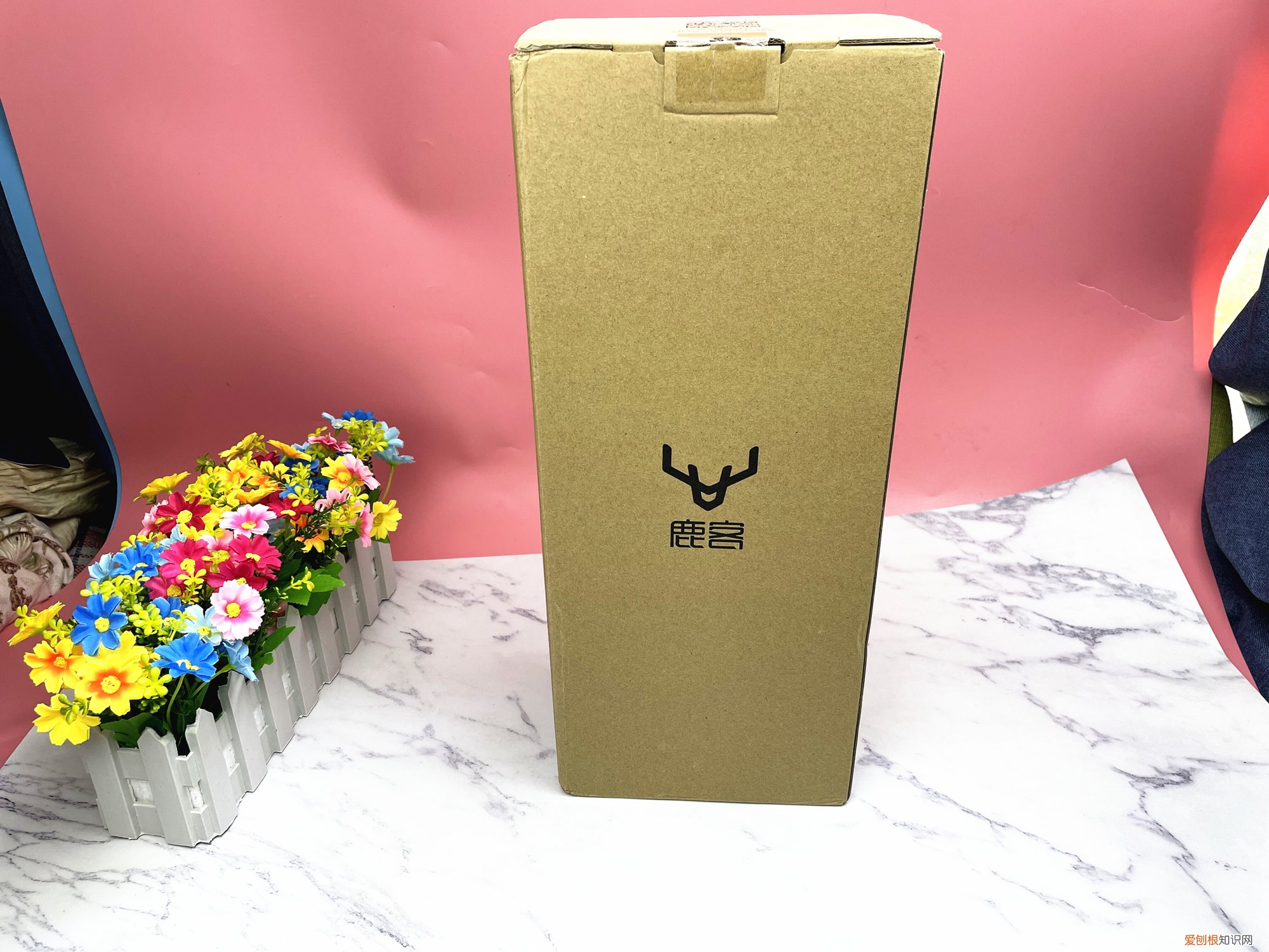 鹿客R1m评测怎么样?安全防护,远程监控好用吗?