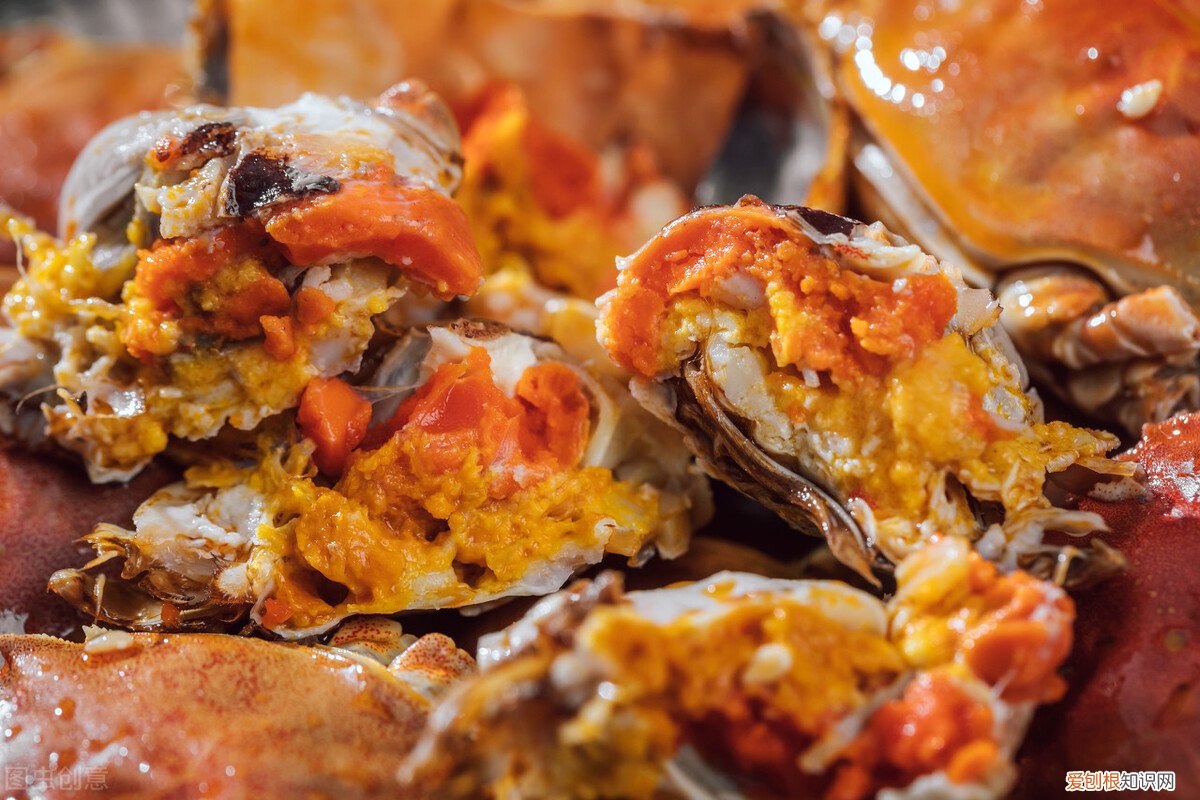 活螃蟹怎样保存，能保存多久？死螃蟹为什么不能吃，你知道吗?