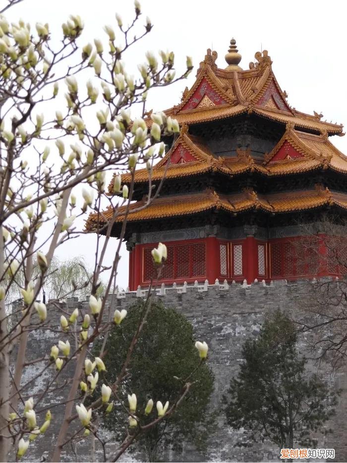 故宫简介和历史完整版