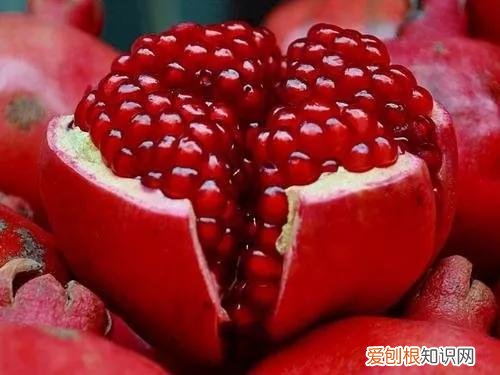 一年四季水果自然成熟时间表