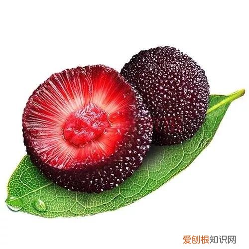 一年四季水果自然成熟时间表