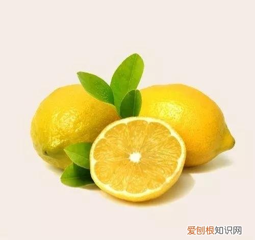 一年四季水果自然成熟时间表