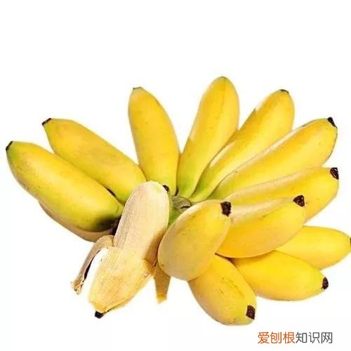 一年四季水果自然成熟时间表