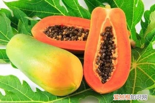 一年四季水果自然成熟时间表