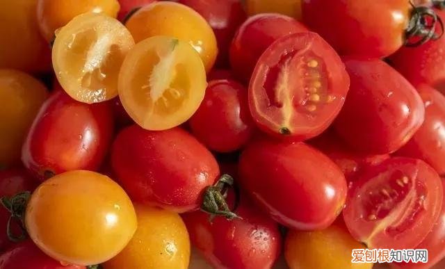 一年四季水果自然成熟时间表