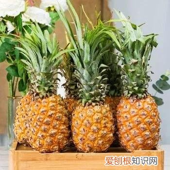 一年四季水果自然成熟时间表