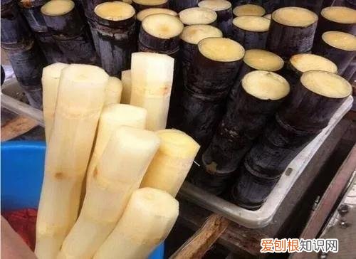 一年四季水果自然成熟时间表