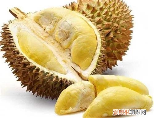 一年四季水果自然成熟时间表