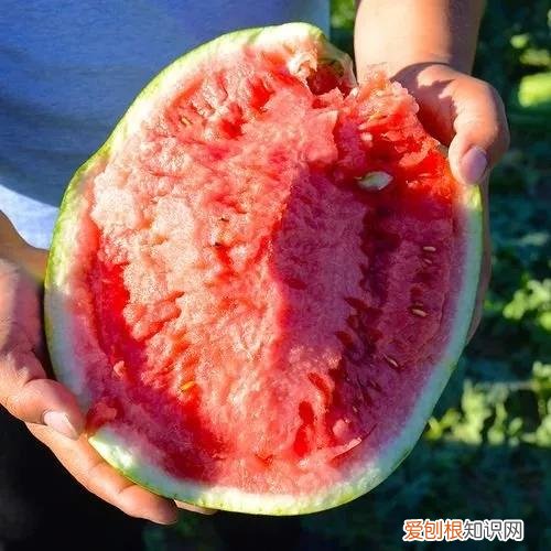 一年四季水果自然成熟时间表