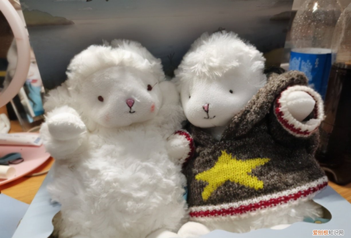 送女朋友礼物推荐清单排行榜,有趣的生日礼物替你赢得芳心