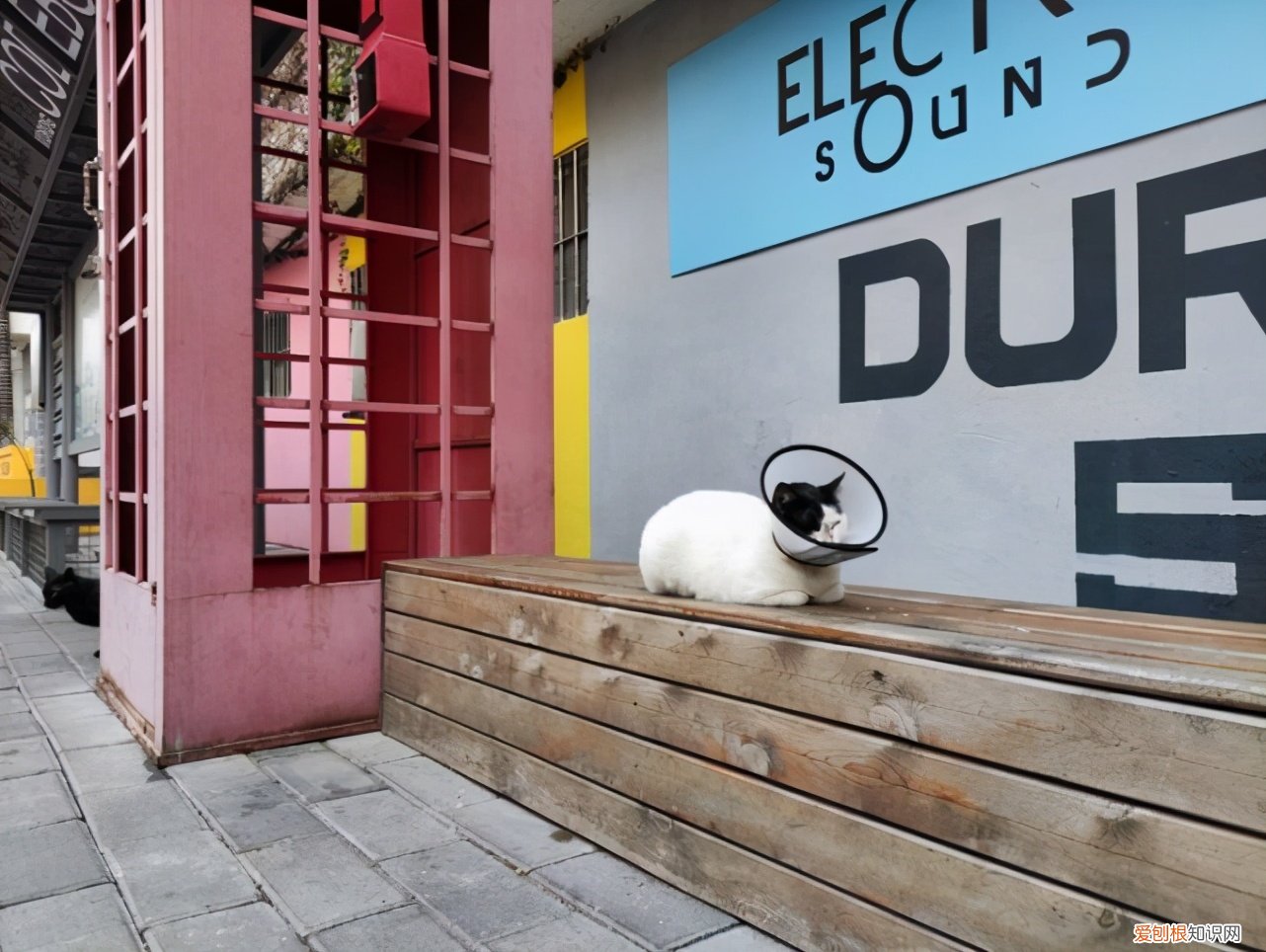 红米k40pro和k40pro+哪个值得买?